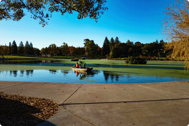 Walnut Creek pond with a boat
